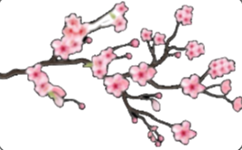 8 Cherry blossom Decals