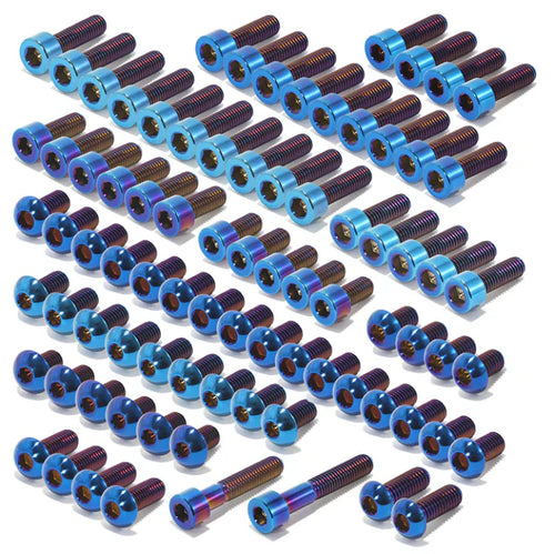 E Ride Pro S/SS/SR Titanium Bolt Kit
